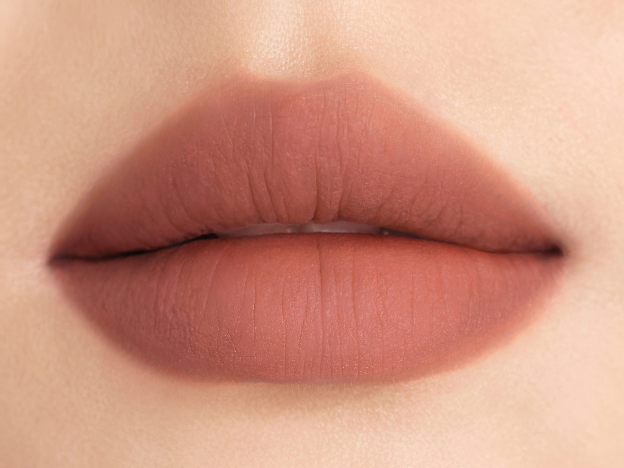 W4テディブラウン